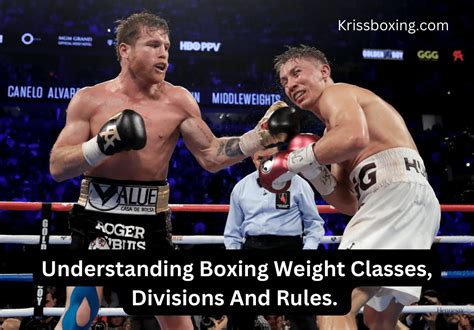 Understanding the Boxing Divisions .